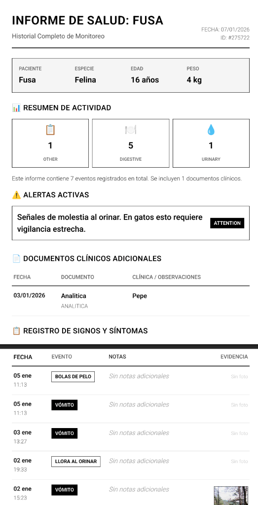 PDF Reports